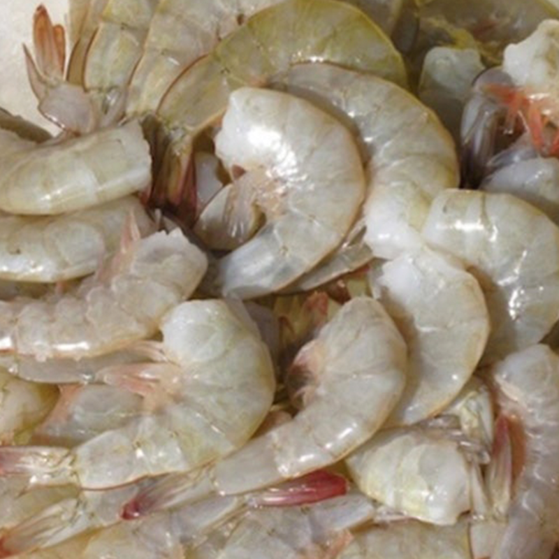 CAMARÓN BLANCO Penaeus Vannamei - BEMIR PANAMÁ